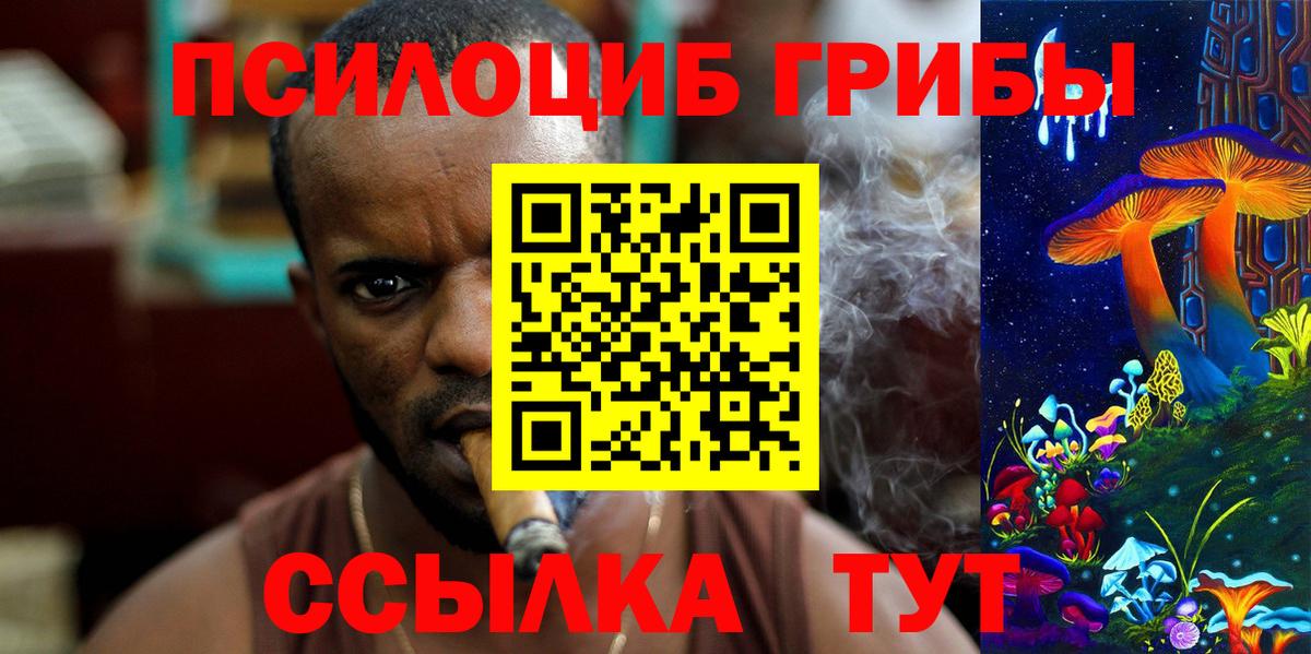 хочу   Псилоцибиновые грибы ЛСД  Вход с VPN  Воткинск  Галлюциногенные грибы Psilocybe 